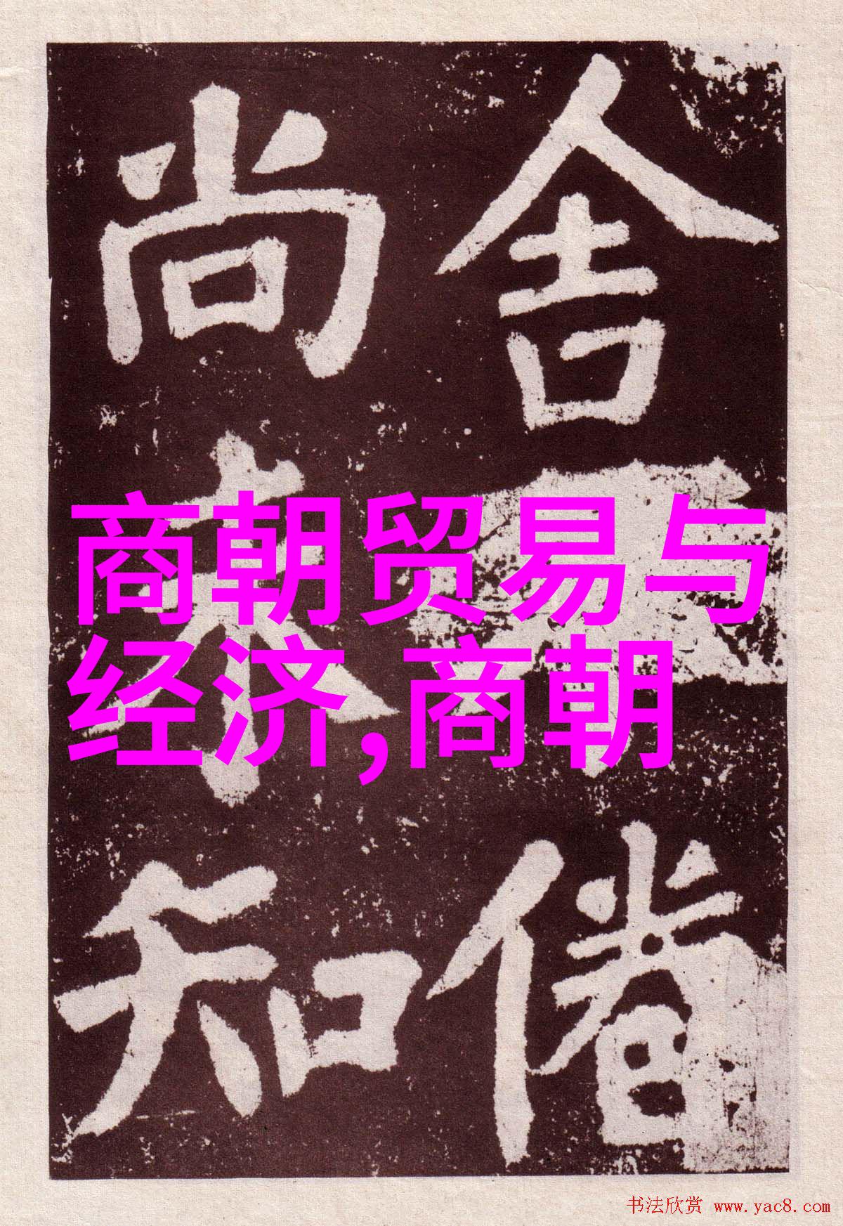 光芒背后的秘密巨星养成系统的奇幻旅程