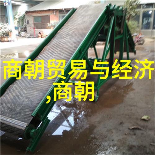 李源的太极秘笈揭秘微循环之谜