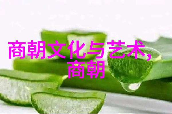 明朝那些事权谋斗争中的阴影与光明