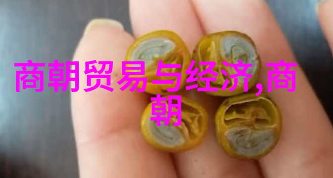 明朝那些事儿音频时光里的历史迷雾