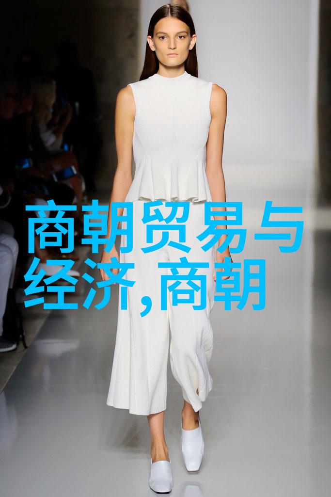 靖康之恥刘亦菲主演的历史悲剧