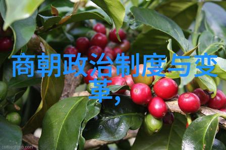 元朝是不是外族入侵的结果探究元朝政权成立的历史背景与文化影响