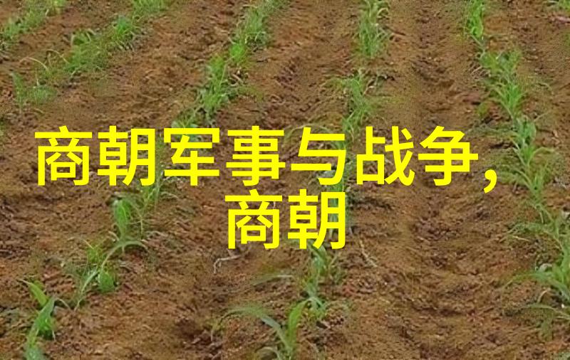 元朝历史典故简短忽必烈征服大理吐蕃使者来访