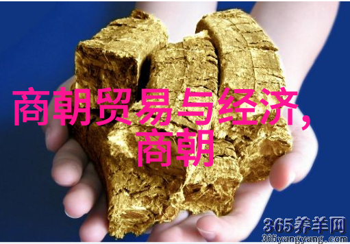 继子们的故事大我两岁的伙伴与挑战