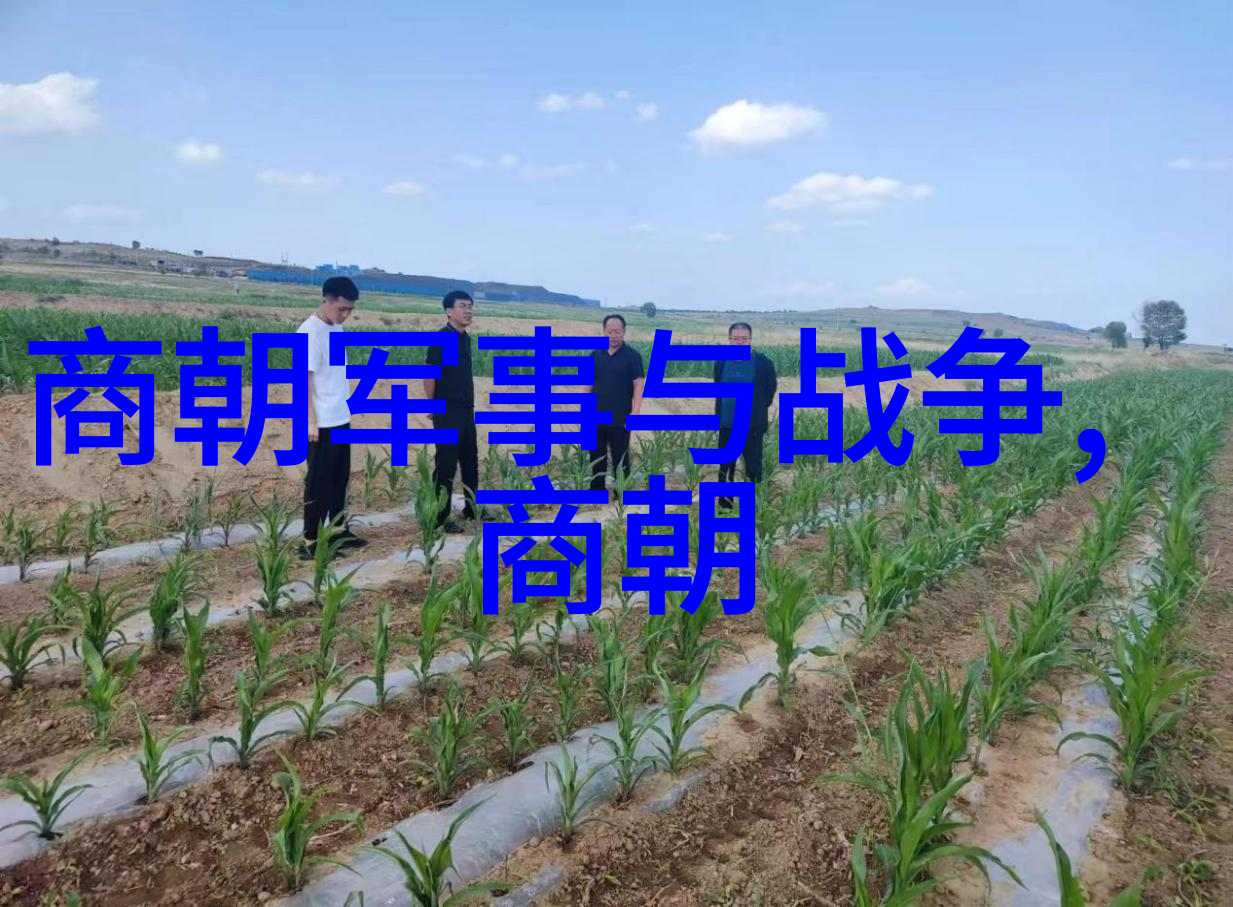明朝辉煌几代帝王的征程与成就