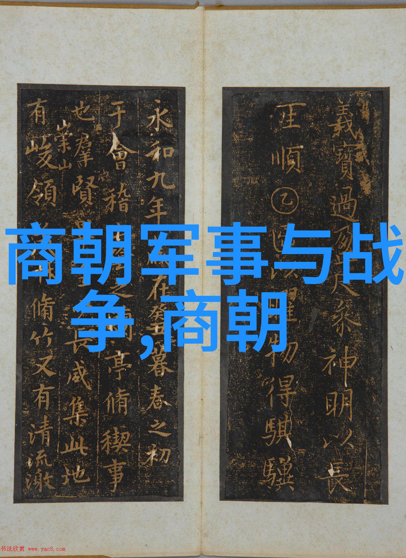 皇帝眼中的御史大夫他们是否真的有足够的政治才干
