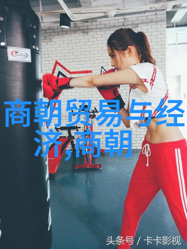 历史与正统-北元与明朝谁的称号更为合适
