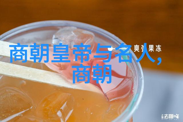 野史讲述的内容古代社会的秘密历史