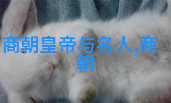明朝的史实龙凤呈祥的御街游行