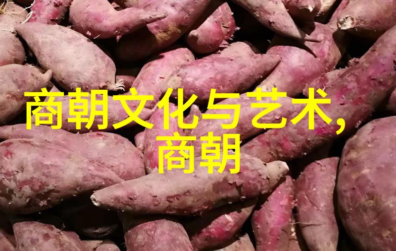 明朝朝代简介-龙兴之国明朝的辉煌与衰落