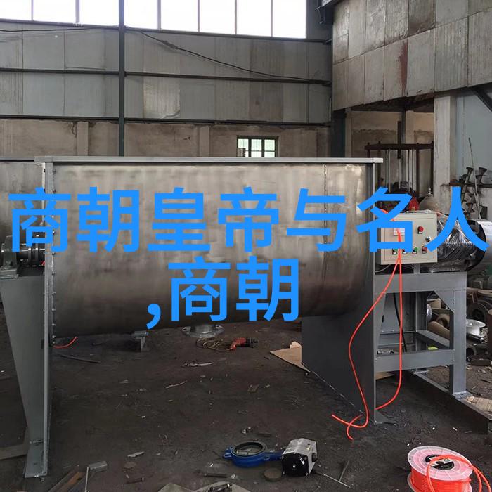 宋朝时期有几个国家-宋代边陲之国探索中原与周边势力的交汇