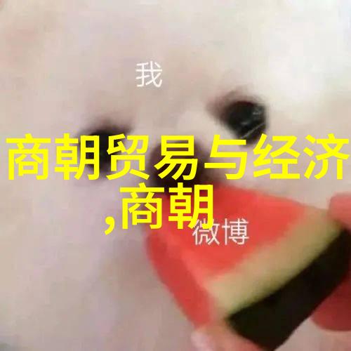 大明风华朱允熞的朝政与艺术