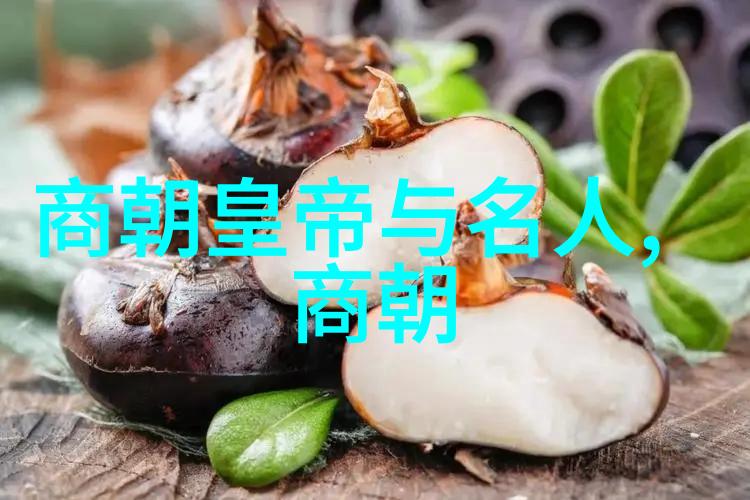 第四届黄梅戏艺术节群众共享的女驸马歌谣盛宴