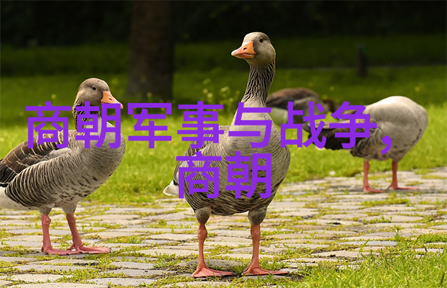 他似火 (军婚 高干 婚恋)笔趣阁 - 火热的军旅婚姻高干夫妻的爱恨交织