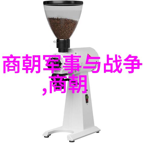 宝宝的扇贝真会夹几巴解析小朋友的食欲与学习能力
