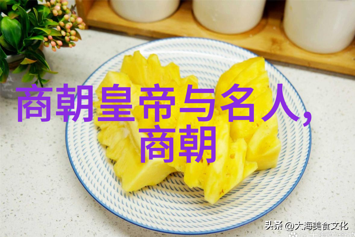 朝代大爆笑从古至今一朝一代总有笑料不绝
