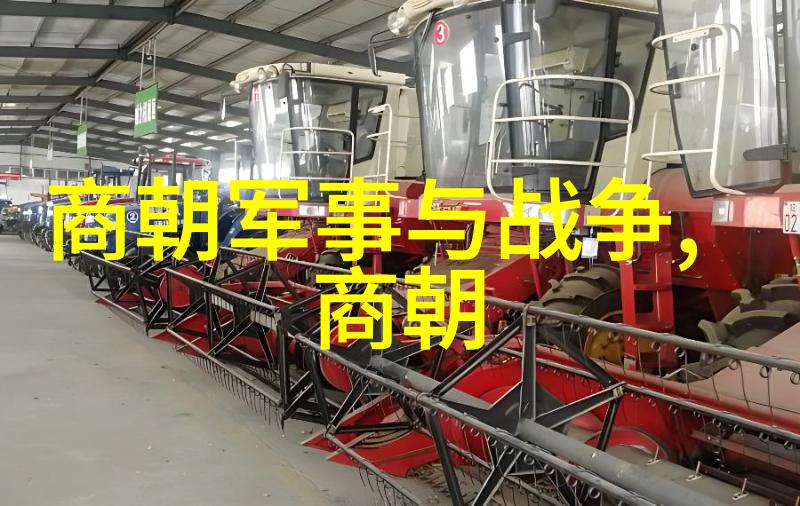宋朝有趣的历史故事龙袍里的秘密