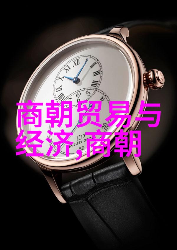 雍正登基背后黑幕康熙传位之谜清朝政治制度与变革的深层考察