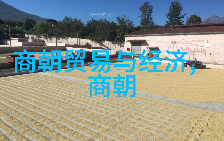乾隆帝百美佳人揭秘一生的100位爱慕者