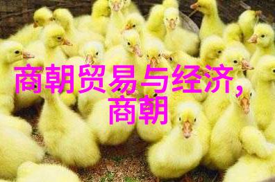 文化教育价值将历史变成歌曲为什么我们需要学会这些文化传承中的口诗诗句