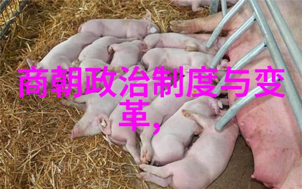明朝风云录龙凤盛世与民变动乱