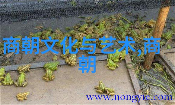 元朝科举制度选才用人之道