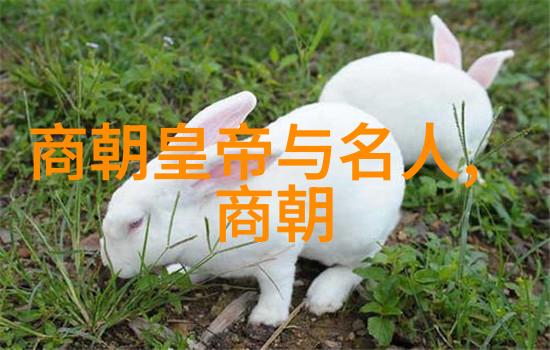 失落的大地之子寻找最后一片净土
