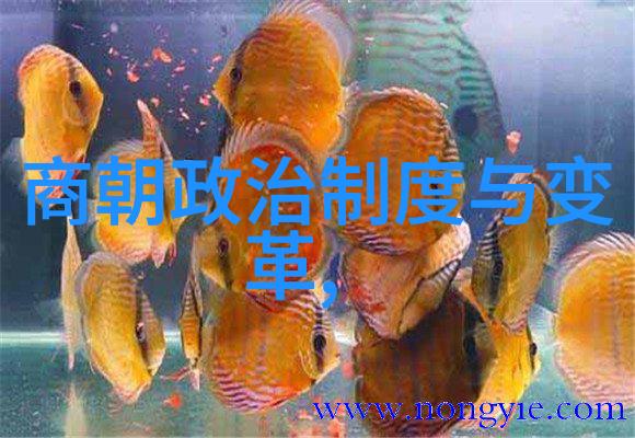 谁能写得过倪文东