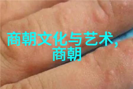 朱家溍探索京剧角色魅力引领票友爱好者走进京剧世界