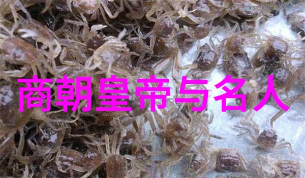 神职官吏