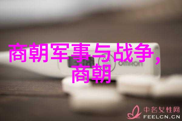 元朝覆灭的历史教训政治腐败军事衰弱与外来侵扰