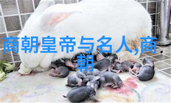 元朝传奇故事赵匡胤的仁政与靖康之变