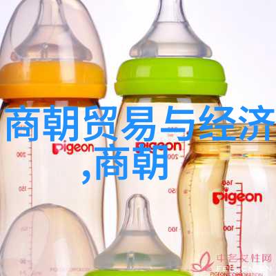 历史课本中的明朝形象历史书籍对明朝的刻画