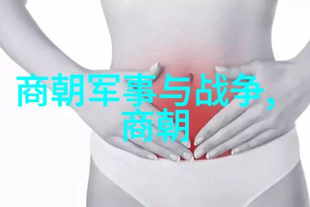 中国朝代的辉煌历程从黄帝到清末的王朝变迁