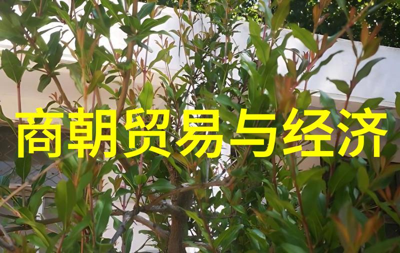 苏护-封神演义之中的虚拟人物简介