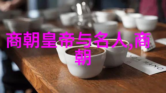 宫廷谱系解读明朝皇帝的血缘联織