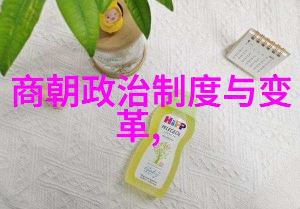 元代历史背景简介如何理解元朝的政治体制