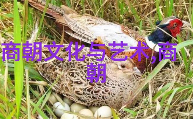朝阳沟魏云追悼会视频朱巧云豫剧旦角演绎哀愁豫剧旦行演员朱巧云豫剧旦角传承情怀