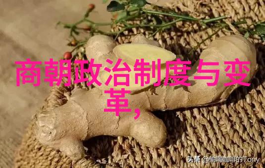 明代建筑风格在当代城市规划中扮演什么角色