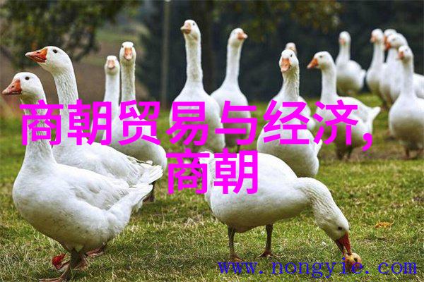 春秋英杰夏徵舒百世传唱的智慧之光