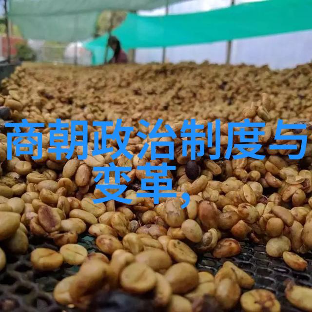 南诏王国在历史上是怎样被消亡的