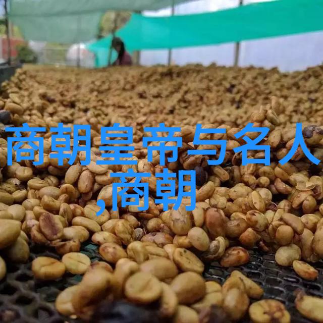 郑和七次下西洋的目的是什么