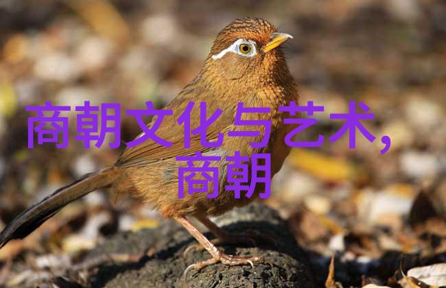 明朝17位皇帝的故事 我亲历了明朝所有17位皇帝的变迁