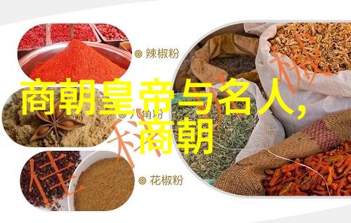 孟丽君黄梅戏盛宴民营剧团首次亮相展演周