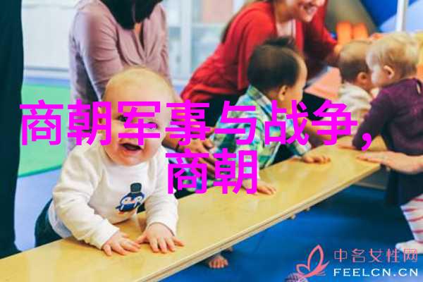 主题-土木堡之变的历史重量战略失误与中世纪中国的转折点