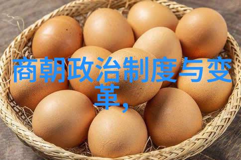 外交往来文化交流明朝与世界的联系点