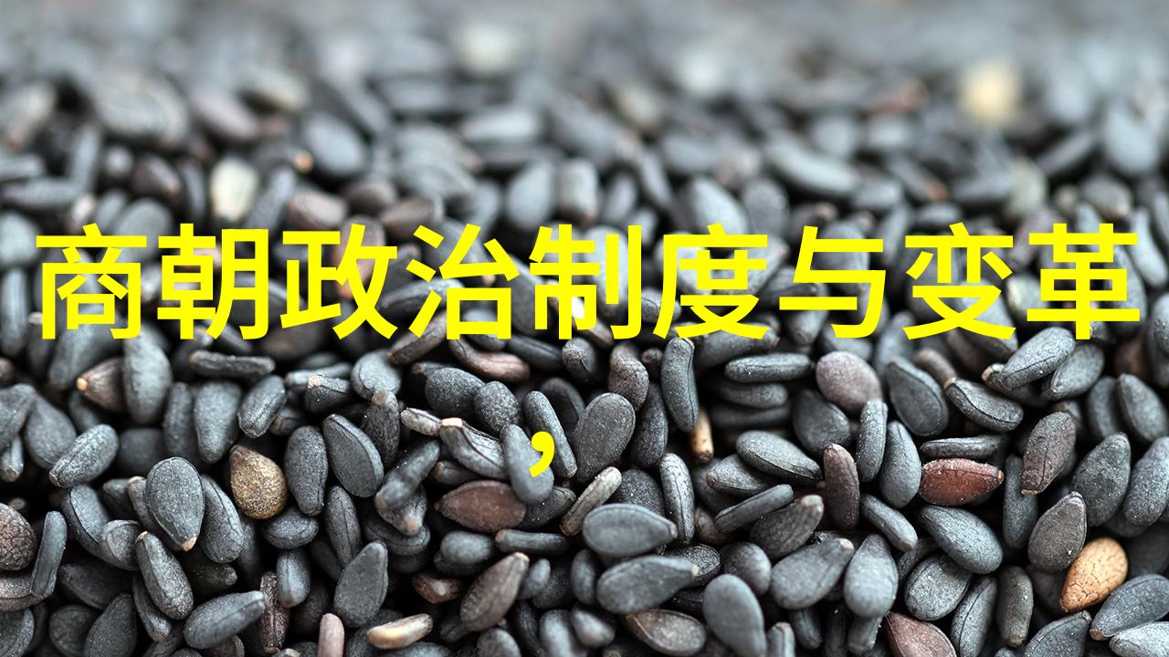 刘玮琳食品学院的科研嫁妆女