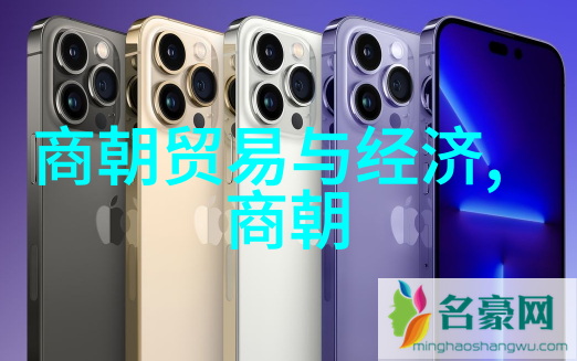 岁月轮回帝王的宝座与时代的更迭