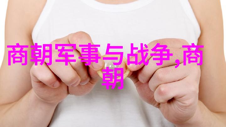 朱祁镇大明战神的传奇之冠