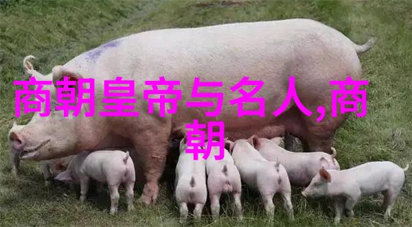 中国历史最全朝代顺序表我来帮你记清每个王朝的起迁